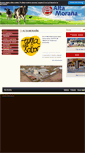 Mobile Screenshot of amsc.es